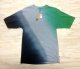 12’ Candy Grind (キャンディーグラインド)  Neapolitan T-shirt  　 Green 　  M